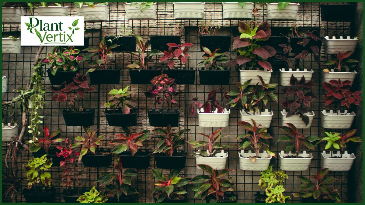 Vertical Garden on a Fence