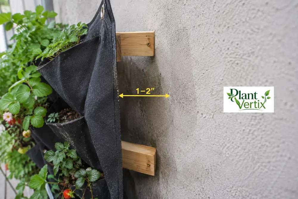 Wall mounted planter with air gap